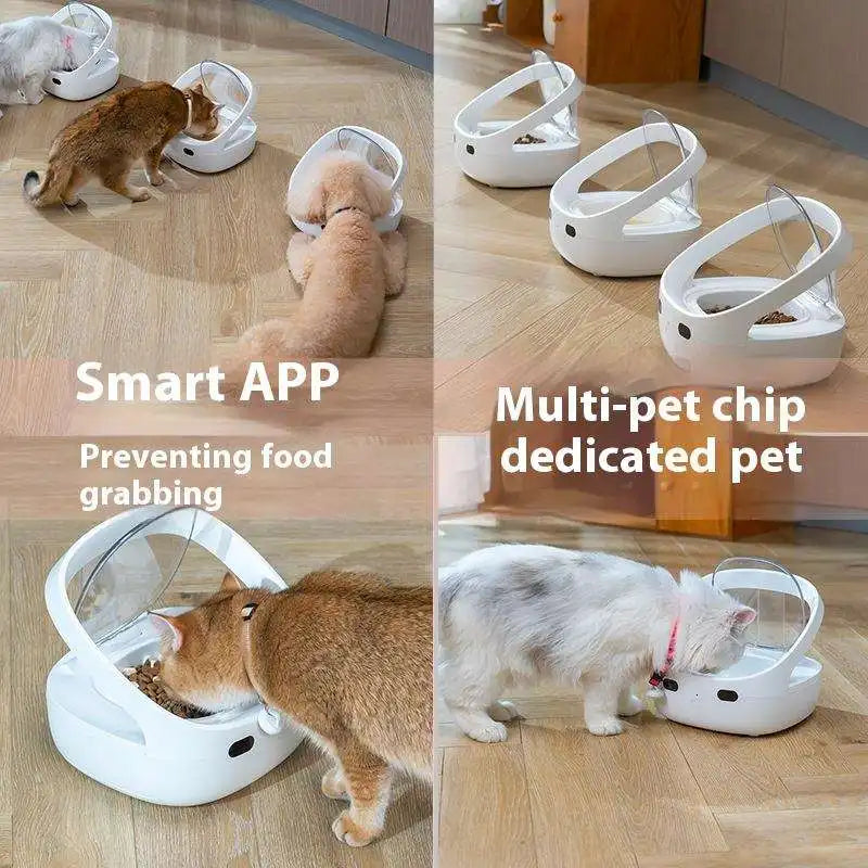 WiFi Smart Pet Feeder  App Control & Sensor Feeding for Cats & Dogs