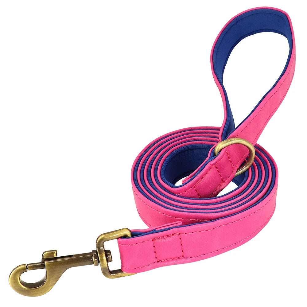 Customized Leather Dog Collar