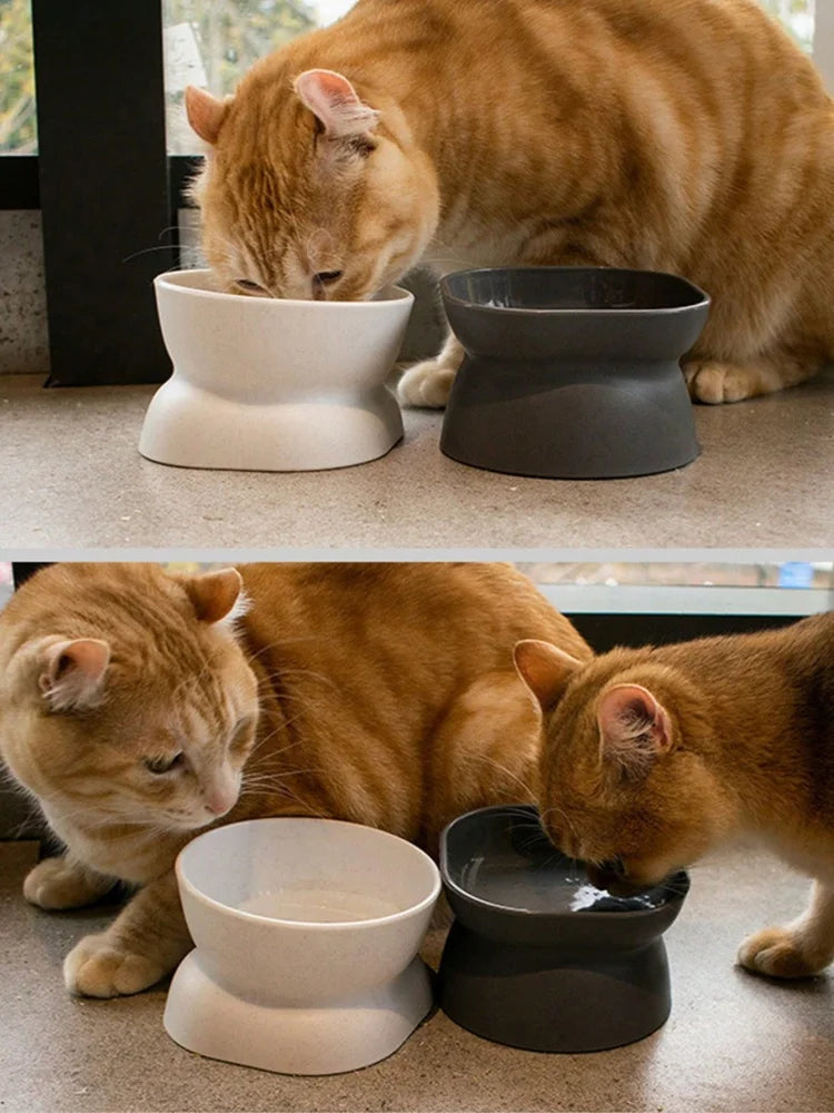 1Pc Pet Bowl  Water & Food Feeder for Cats and Small Dogs
