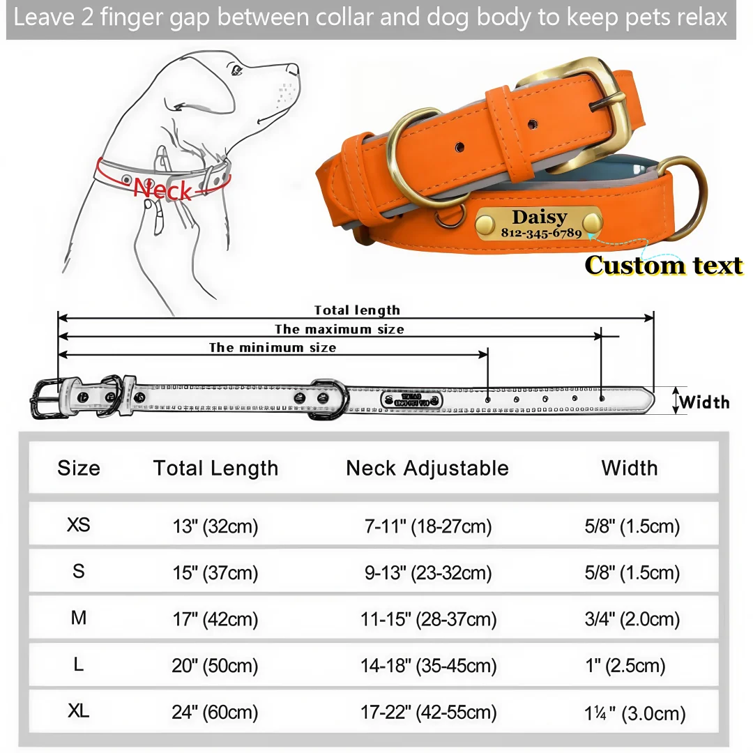 Customizable Leather Dog Collar Engraved Nameplate & ID Tag