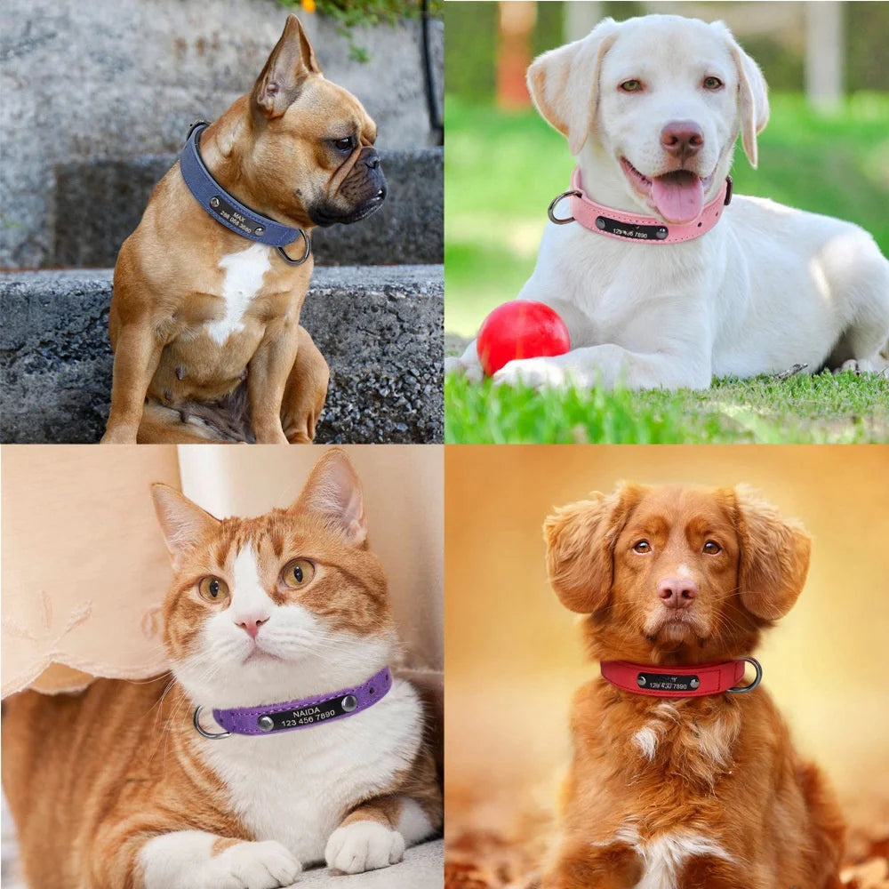 Customizable Leather Dog Collar Engraved Nameplate & ID Tag