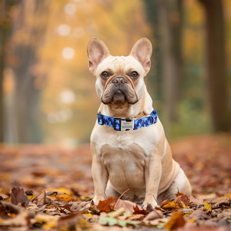Personalized Nylon Dog Collar with Free Engraved ID Tag
