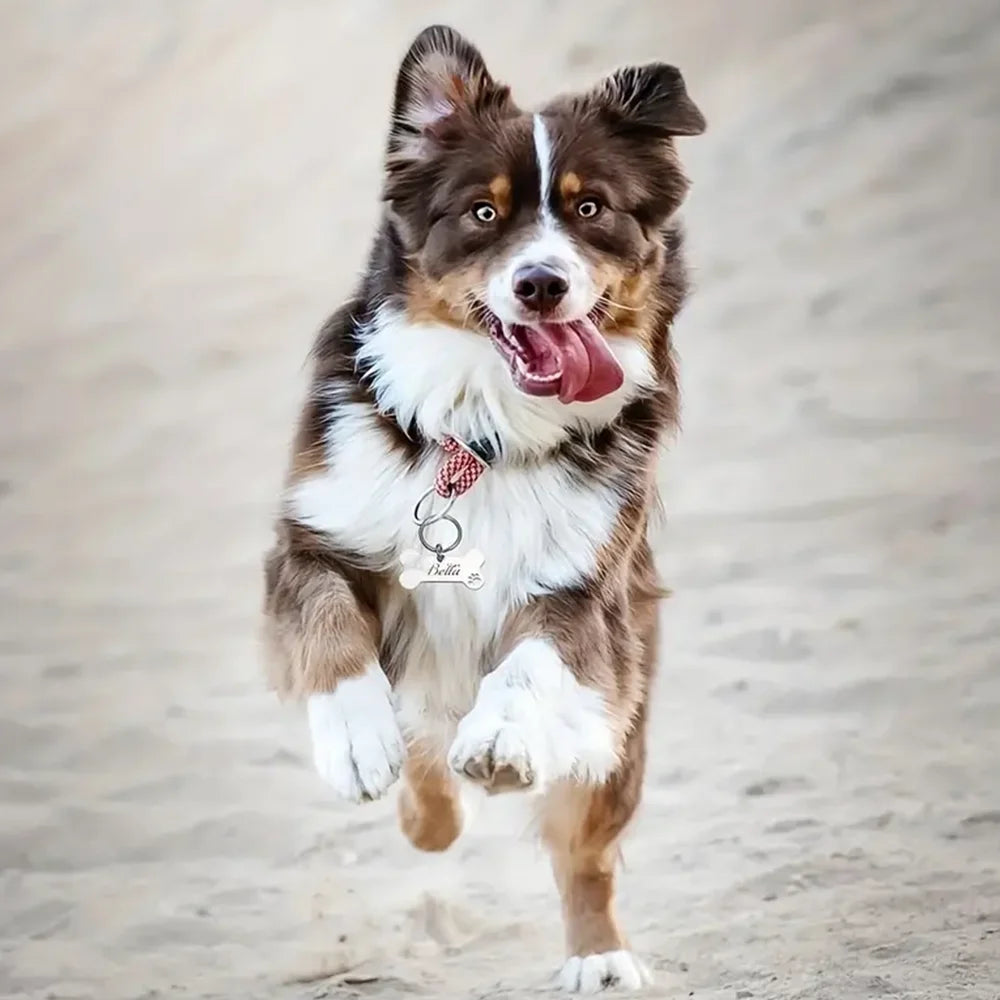 Personalized Pet ID Tag with Bone Pendant Custom Name Tag