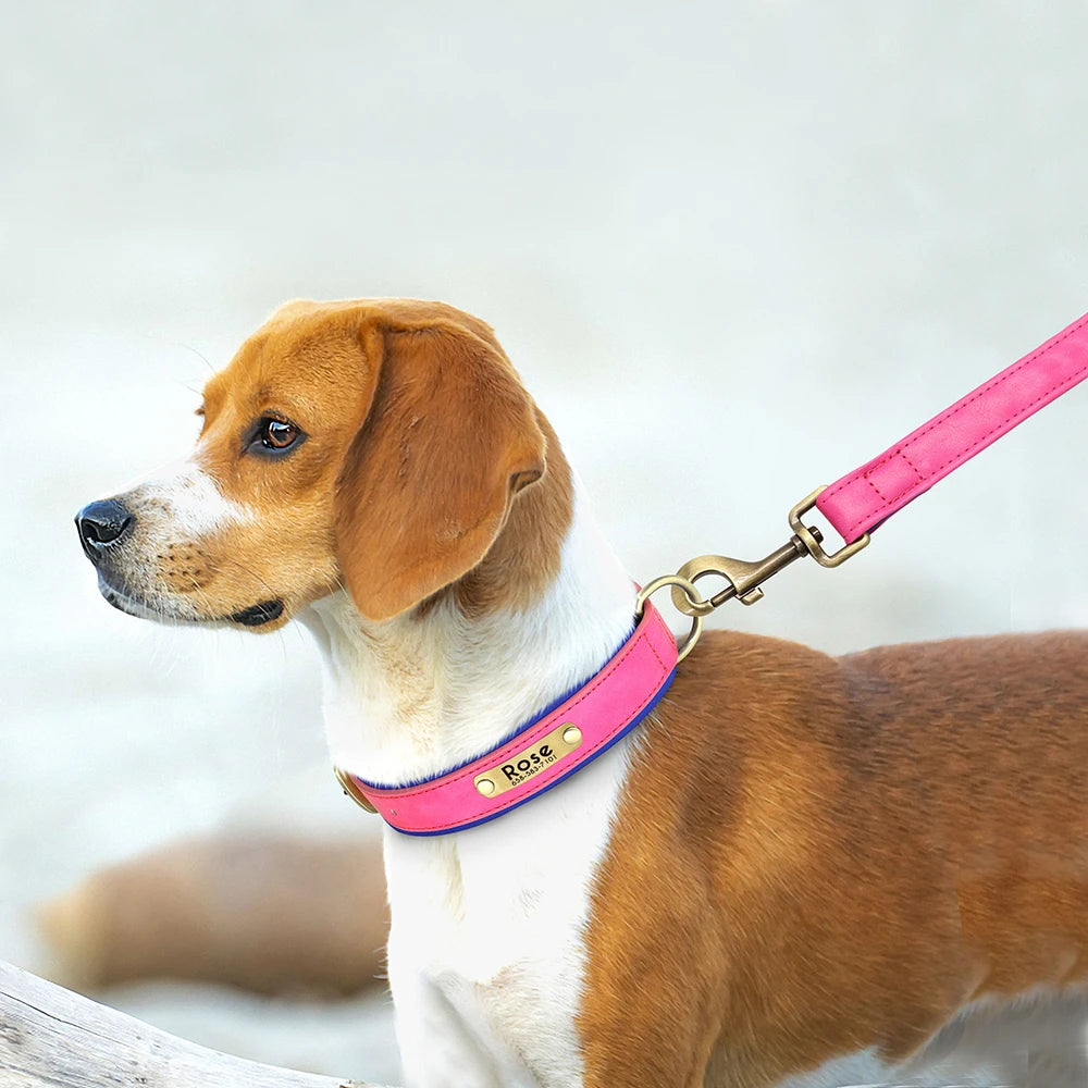Customized Leather Dog Collar