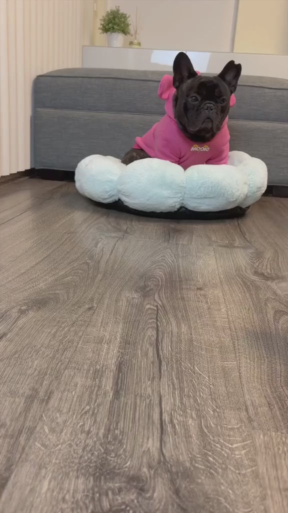 Snail-Shaped Pet Sniffing Toy – Interactive Dog & Cat Training Puzzle Mat for Fun Feeding and Stress Relief